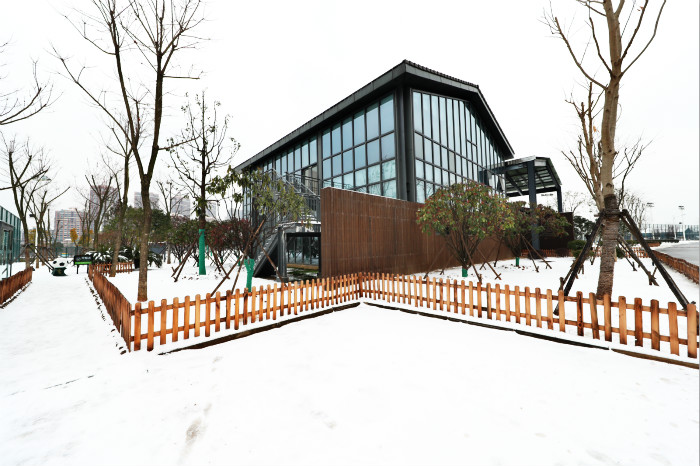 一場雪，體育中心美得不要不要的 但最美的風(fēng)景還是他們(圖1)