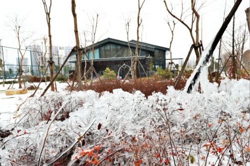 一場雪，體育中心美得不要不要的 但最美的風(fēng)景還是他們(圖3)