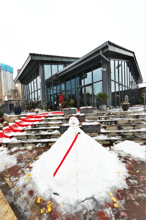 一場雪，體育中心美得不要不要的 但最美的風(fēng)景還是他們(圖11)