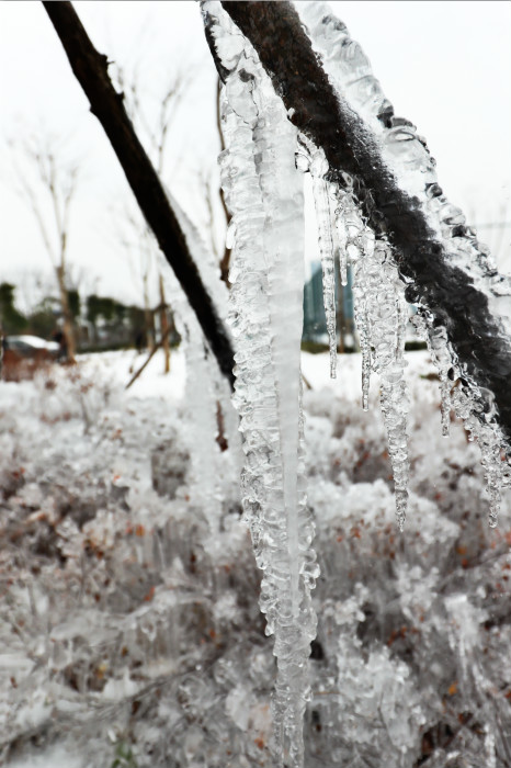 一場(chǎng)雪，體育中心美得不要不要的</br>但最美的風(fēng)景還是他們(圖4)